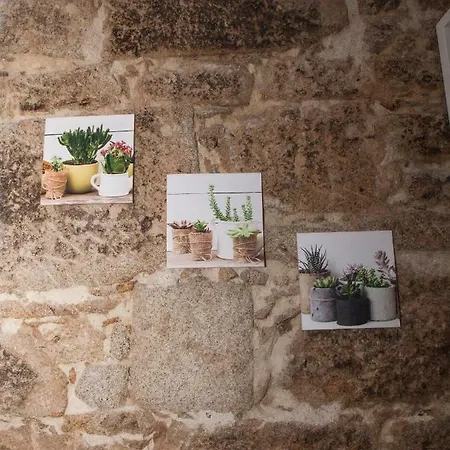 Apartamento Qian Centro
